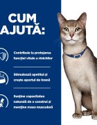 HILL'S Prescription Diet k/d Kidney Care Pui dietă veterinară pisici hrană uscată afecțiuni renale k/d Kidney Care Pui dietă veterinară pisici hrană uscată sistem renal 8kg