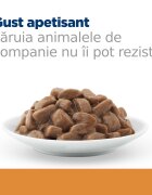 HILL'S Prescription Diet k/d Kidney Care Pui dietă veterinară pisici plic hrană umedă sistem renal (în sos) 85g x 12buc