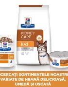 HILL'S Prescription Diet k/d Kidney Care Pui dietă veterinară pisici plic hrană umedă sistem renal (în sos) 85g x 12buc