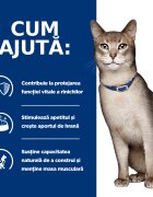 HILL'S Prescription Diet k/d Kidney Care Somon dietă veterinară pisici plic hrană umedă sistem renal 85g x 12buc