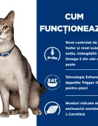 HILL'S Prescription Diet k/d Kidney Care Ton dietă veterinară pisici hrană uscată afecțiuni renale k/d Kidney Care Ton dietă veterinară pisici hrană uscată sistem renal 1.5kg