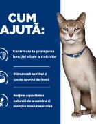 HILL'S Prescription Diet k/d Kidney Care Vită dietă veterinară pisici plic hrană umedă sistem renal 85g x 12buc