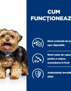 HILL'S Prescription Diet l/d dietă veterinară câini hrană uscată afecțiuni hepatice l/d Liver Care dietă veterinară câini hrană uscată sistem hepatic 10kg