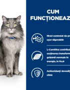 HILL'S Prescription Diet l/d Liver Care Pui dietă veterinară pisici hrană uscată sistem hepatic 1.5kg