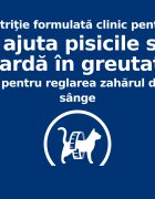 HILL'S Prescription Diet m/d Diabetes Care Pui dietă veterinară pisici conservă hrană umedă metabolism (obezitate si diabet) (în sos) 156g