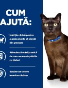 HILL'S Prescription Diet m/d Diabetes Care Pui dietă veterinară pisici hrană uscată afecțiuni metabolice (diabet) m/d Diabetes Care Pui dietă veterinară pisici hrană uscată metabolism (diabet) 3kg