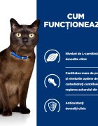 HILL'S Prescription Diet m/d Diabetes Care Pui dietă veterinară pisici hrană uscată afecțiuni metabolice (diabet) m/d Diabetes Care Pui dietă veterinară pisici hrană uscată metabolism (obezitate si diabet) 1.5kg