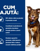 HILL'S Prescription Diet Metabolic Miel cu Orez dietă veterinară câini hrană uscată afecțiuni metabolice (obezitate) Metabolic Miel cu Orez dietă veterinară câini hrană uscată metabolism (obezitate si diabet) 1.5kg