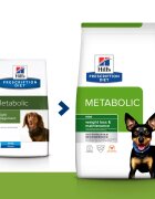 HILL'S Prescription Diet Metabolic Mini dietă veterinară câini hrană uscată afecțiuni metabolice (obezitate) Metabolic Mini dietă veterinară câini hrană uscată metabolism (obezitate si diabet) 3kg