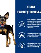 HILL'S Prescription Diet Metabolic Pui cu Legume dietă veterinară câini conservă hrană umedă afecțiuni metabolice (obezitate) Metabolic Mini Pui cu Legume dietă veterinară câini conservă hrană umedă metabolism (obezitate