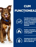 HILL'S Prescription Diet Metabolic Pui dietă veterinară câini hrană uscată afecțiuni metabolice (obezitate) Metabolic Pui dietă veterinară câini hrană uscată metabolism (obezitate si diabet) 1.5kg