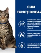 HILL'S Prescription Diet Metabolic Pui dietă veterinară pisici hrană uscată afecțiuni metabolice (obezitate) Metabolic Pui dietă veterinară pisici hrană uscată metabolism (obezitate si diabet) 12kg