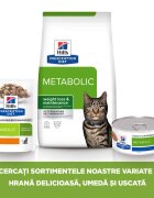 HILL'S Prescription Diet Metabolic Pui dietă veterinară pisici hrană uscată afecțiuni metabolice (obezitate) Metabolic Pui dietă veterinară pisici hrană uscată metabolism (obezitate si diabet) 8kg