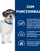 HILL'S Prescription Diet Metabolic + Weight Mini dietă veterinară câini hrană uscată afecțiuni metabolice (obezitate) Metabolic + Mobility Mini dietă veterinară câini hrană uscată metabolism (obezitate si diabet) sistem ar