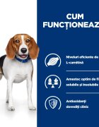 HILL'S Prescription Diet r/d Weight Loss Pui dietă veterinară câini hrană uscată scădere în greutate r/d Weight Loss Pui dietă veterinară câini hrană uscată metabolism (obezitate si diabet) 4kg