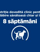 HILL'S Prescription Diet r/d Weight Loss Pui dietă veterinară câini hrană uscată scădere în greutate r/d Weight Loss Pui dietă veterinară câini hrană uscată metabolism (obezitate si diabet) 4kg