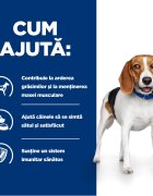 HILL'S Prescription Diet r/d Weight Loss Pui dietă veterinară câini hrană uscată scădere în greutate r/d Weight Loss Pui dietă veterinară câini hrană uscată metabolism (obezitate si diabet) 4kg