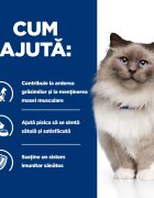 HILL'S Prescription Diet r/d Wheight Loss Pui dietă veterinară pisici hrană uscată scădere în greutate r/d Wheight Loss Pui dietă veterinară pisici hrană uscată metabolism (obezitate si diabet) 1.5kg