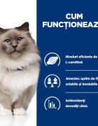 HILL'S Prescription Diet r/d Wheight Loss Pui dietă veterinară pisici hrană uscată scădere în greutate r/d Wheight Loss Pui dietă veterinară pisici hrană uscată metabolism (obezitate si diabet) 3kg