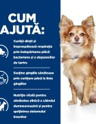 HILL'S Prescription Diet t/d Dental Care Mini Pui dietă veterinară câini hrană uscată sensibilități dentare 3kg
