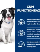 HILL'S Prescription Diet t/d Dental Care Pui dietă veterinară câini hrană uscată afecțiuni dentare t/d Dental Care Pui dietă veterinară câini hrană uscată sensibilități dentare 10kg