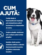 HILL'S Prescription Diet t/d Dental Care Pui dietă veterinară câini hrană uscată afecțiuni dentare t/d Dental Care Pui dietă veterinară câini hrană uscată sensibilități dentare 4kg