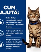 HILL'S Prescription Diet t/d Dental Care Pui dietă veterinară pisici hrană uscată afecțiuni dentare 1.5kg