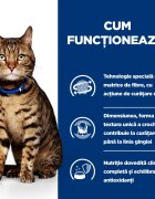 HILL'S Prescription Diet t/d Dental Care Pui dietă veterinară pisici hrană uscată afecțiuni dentare t/d Dental Care Pui dietă veterinară pisici hrană uscată sensibilități dentare 3kg