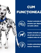 HILL'S Prescription Diet u/d Urinary Care dietă veterinară câini conservă hrană umedă sistem urinar 370g