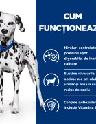 HILL'S Prescription Diet u/d Urinary Care dietă veterinară câini hrană uscată afecțiuni urinare u/d Urinary Care dietă veterinară câini hrană uscată sistem urinar 10kg