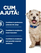 HILL'S Prescription Diet w/d Diabetes Care Pui dietă veterinară câini hrană uscată afecțiuni metabolice (diabet) w/d Diabetes Care Pui dietă veterinară câini hrană uscată metabolism ( obezitate si diabet) 4kg