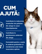 HILL'S Prescription Diet w/d Multi-Benefit Pui dietă veterinară pisici hrană uscată afecțiuni metabolice (diabet) w/d Multi-Benefit Pui dietă veterinară pisici hrană uscată metabolism (obezitate si diabet) 3kg