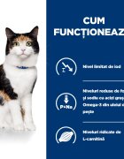 HILL'S Prescription Diet y/d Thyroid Care Pui dietă veterinară pisici conservă hrană umedă metabolism ( obezitate si diabet) 156g