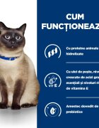 HILL'S Prescription Diet z/d Food Sensitivities dietă veterinară pisici hrană uscată afecțiuni dermatologice și digestive z/d Food Sensitivities dietă veterinară pisici hrană uscată piele & blana sistem digestiv 6kg