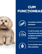 HILL'S Prescription Diet z/d Food Sensitivities Mini dietă veterinară câini hrană uscată afecțiuni dermatologice și digestive z/d Food Sensitivities Mini dietă veterinară câini hrană uscată piele & blana sistem digestiv 6