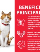 HILL'S Science Plan Adult Sterilised Pui hrană uscată pisici sterilizate 3kg