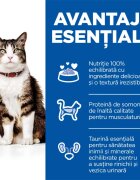 HILL'S Science Plan Culinary Creations Somon și Morcov hrană uscată pisici 1.5kg