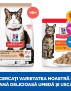 HILL'S Science Plan Culinary Creations Somon și Morcov hrană uscată pisici 1.5kg