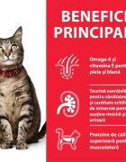 HILL'S Science Plan Curcan plic hrană umedă pisici 85g