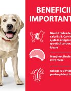HILL'S Science Plan Hill's SP Canine Adult Light Large Breed Pui Value Pack 18 Kg