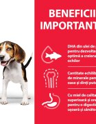 HILL'S Science Plan Hill's SP Canine Puppy Medium Lamb&Rice Value Pack 18 Kg