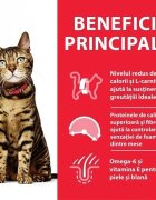HILL'S Science Plan Hill's SP Feline Adult Light Pui 1.5 Kg