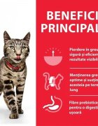 HILL'S Science Plan Hill's SP Feline Adult Pui 1.5 Kg