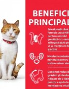 HILL'S Science Plan Hill's SP Feline Adult Sterilised Plic Pui 85 g