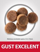 HILL'S Science Plan Puppy L Pui hrană uscată câini junior Hill's SP Canine Puppy Large Breed Pui Value Pack 16 Kg