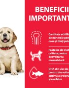 HILL'S Science Plan Puppy L Pui hrană uscată câini junior Hill's SP Canine Puppy Large Breed Pui Value Pack 16 Kg