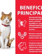 HILL'S Science Plan Rață hrană uscată pisici sterilizate 300g