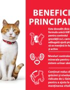 HILL'S Science Plan Young Adult Sterilised Rață hrană uscată pisici sterilizate Adult Sterilised Rață hrană uscată pisici sterilizate 10kg