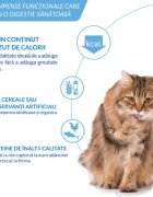 Inaba Churu Hairball Control Somon punguță recompense fără cereale pisici limitarea ghemurilor de blană (piure) 56g