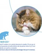 Inaba Churu Hairball Control Somon punguță recompense fără cereale pisici limitarea ghemurilor de blană (piure) 56g
